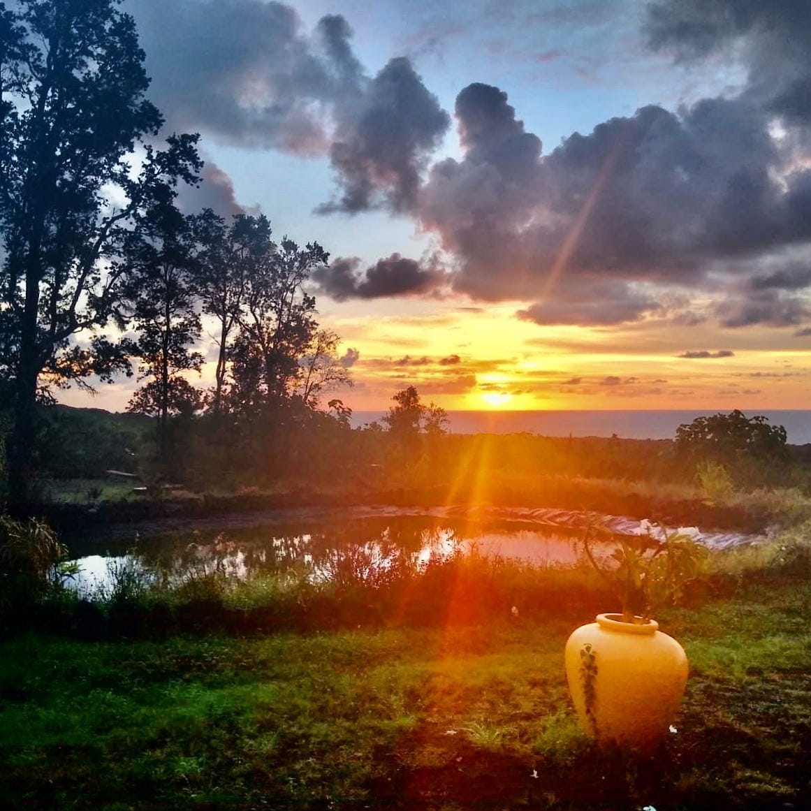 Grounds at sunset